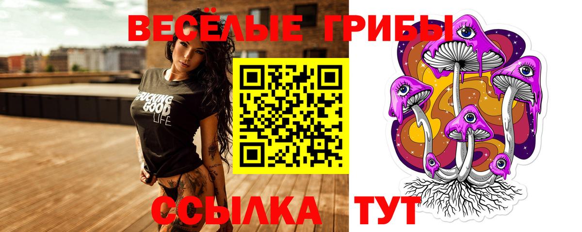 Псилоцибиновые грибы GOLDEN TEACHER  Вход с VPN  Котлас  где найти наркотики  Галлюциногенные грибы ЛСД 